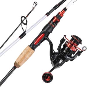 Sougayilang Spinning Combo, Medium Heavy Fishing Pole and 2000 Spinning Reel Set, Fishing Rod and Reel Commbo for Bass Fishing Tackle(Pearl White)
