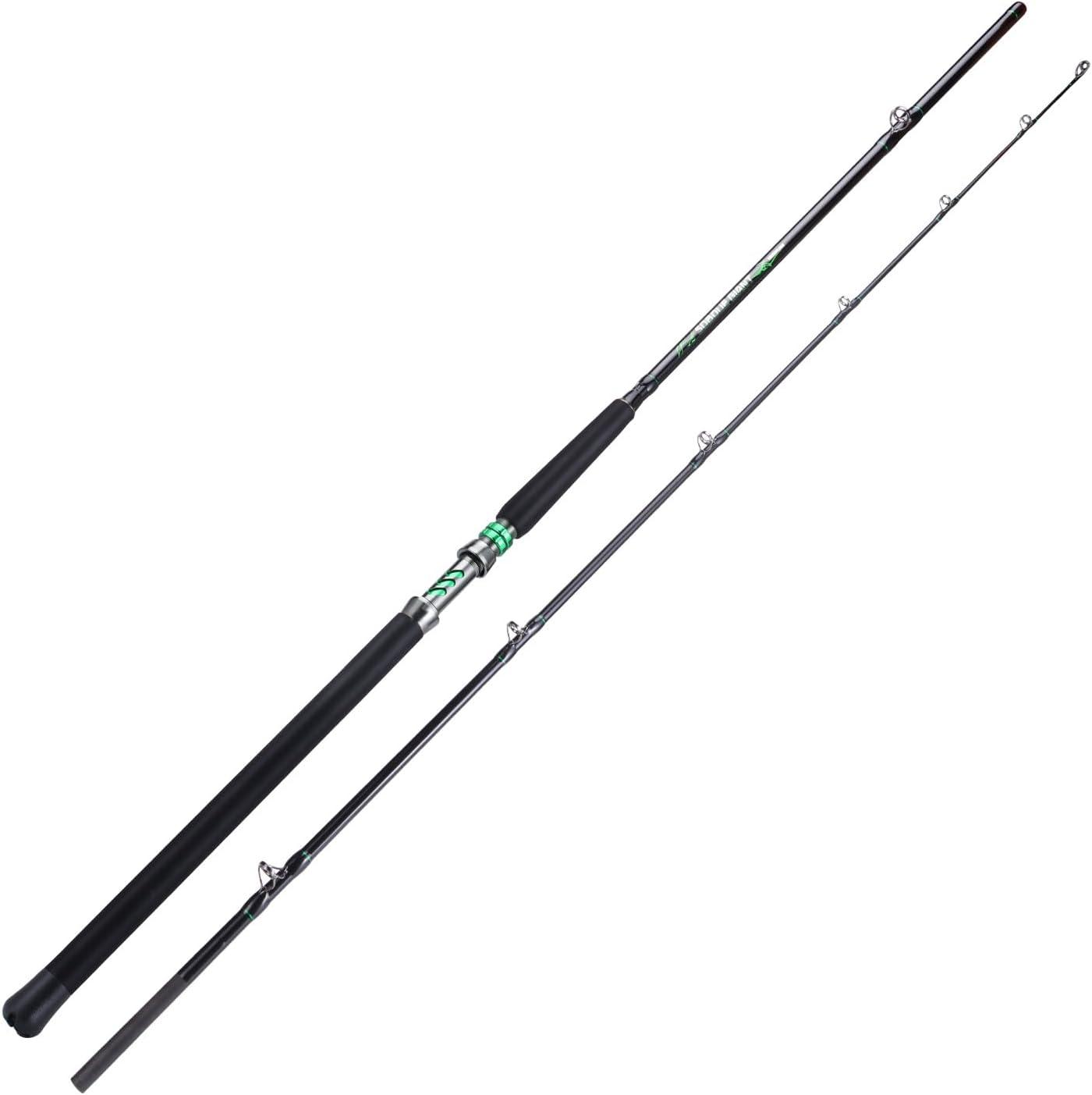 image:imageSougayilang Spinning amp Casting Catfish Rod2 Piece Medium Heavy Portable Travel Catfish Fishing Rod 7768Casting Rod2pcsmh70