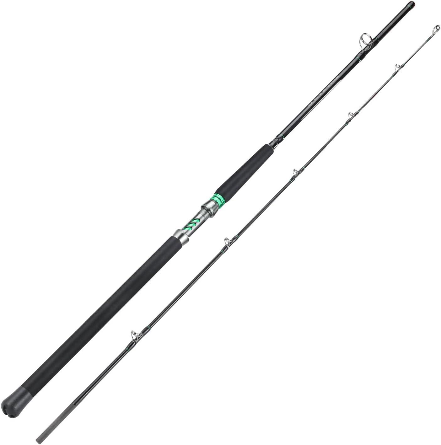 image:imageSougayilang Spinning amp Casting Catfish Rod2 Piece Medium Heavy Portable Travel Catfish Fishing Rod 7768Spinning Rod2pcsmh76