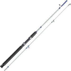 Sougayilang Fishing Rod, 2-Piece Composite Graphite & Glass Blanks Saltwater Trolling Rod Offshore Surf Fishing Pole with Stainless Steel Line Guides for Catfish, Salmon Glass Fiber Spinning Rod(Blue)